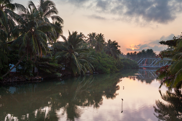 Backwaters Wellness Retreat