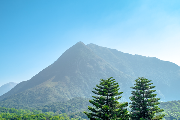 Mountain Side Wellness Retreat