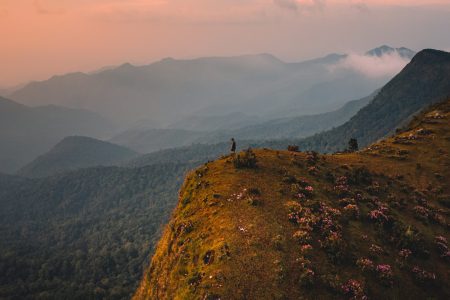 Mountain Side Wellness Retreat: A Rejuvenating Escape for the Mind, Body, and Soul