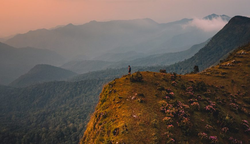 Mountain Side Wellness Retreat: A Rejuvenating Escape for the Mind, Body, and Soul