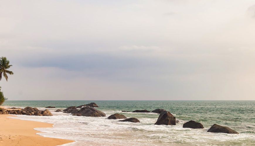 Discover the Benefits of a Wellness Trip: A Journey to Health, Balance, and Inner Peace