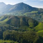 Journey to Total Rejuvenation