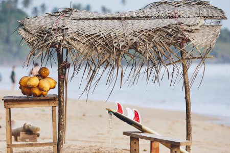 Revitalize Your Health and Mind: The Ultimate Wellness Trip Experience